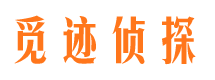 内丘市调查公司